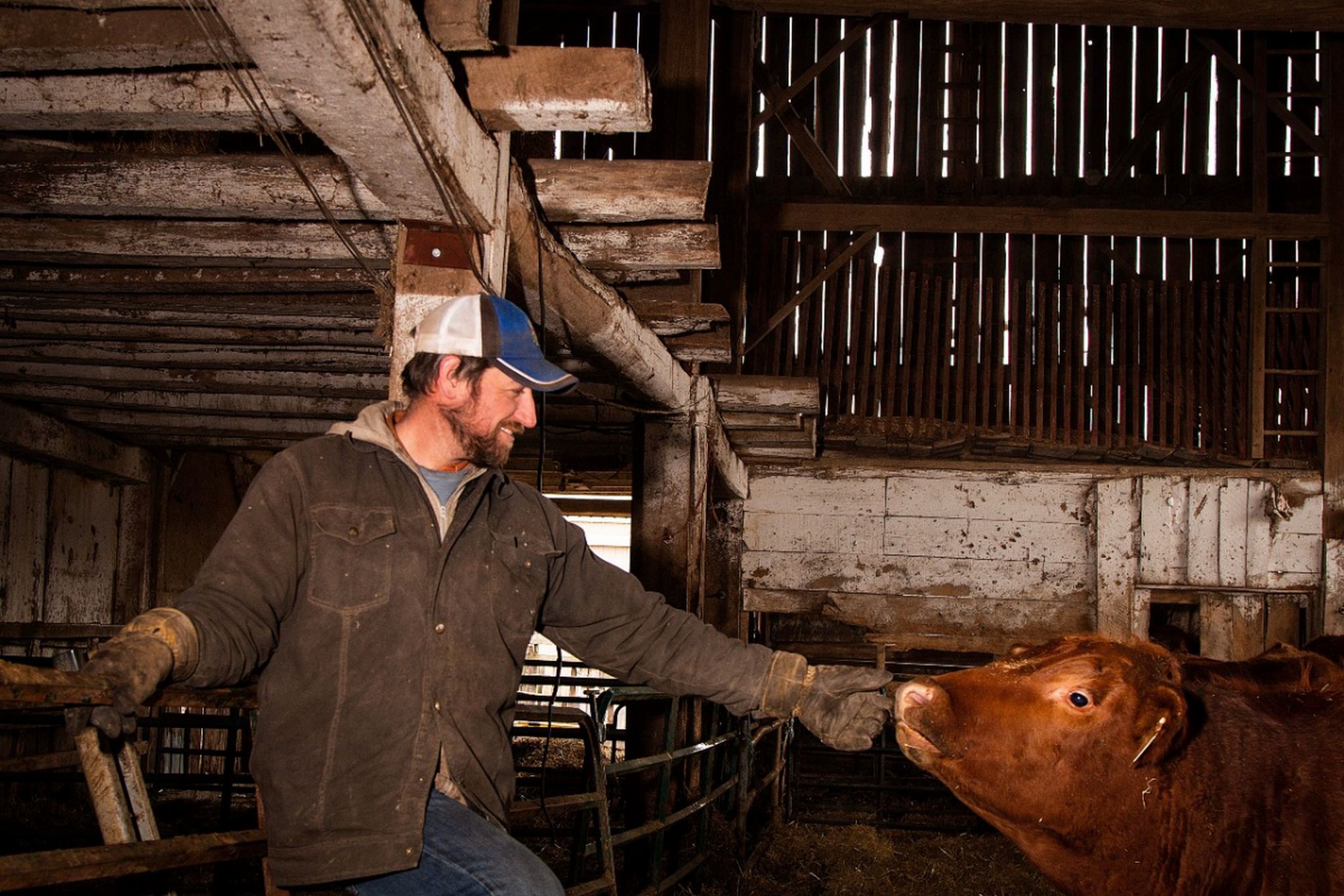 Taking Action Toward Inclusion in Agriculture | Beef Farmers of Ontario