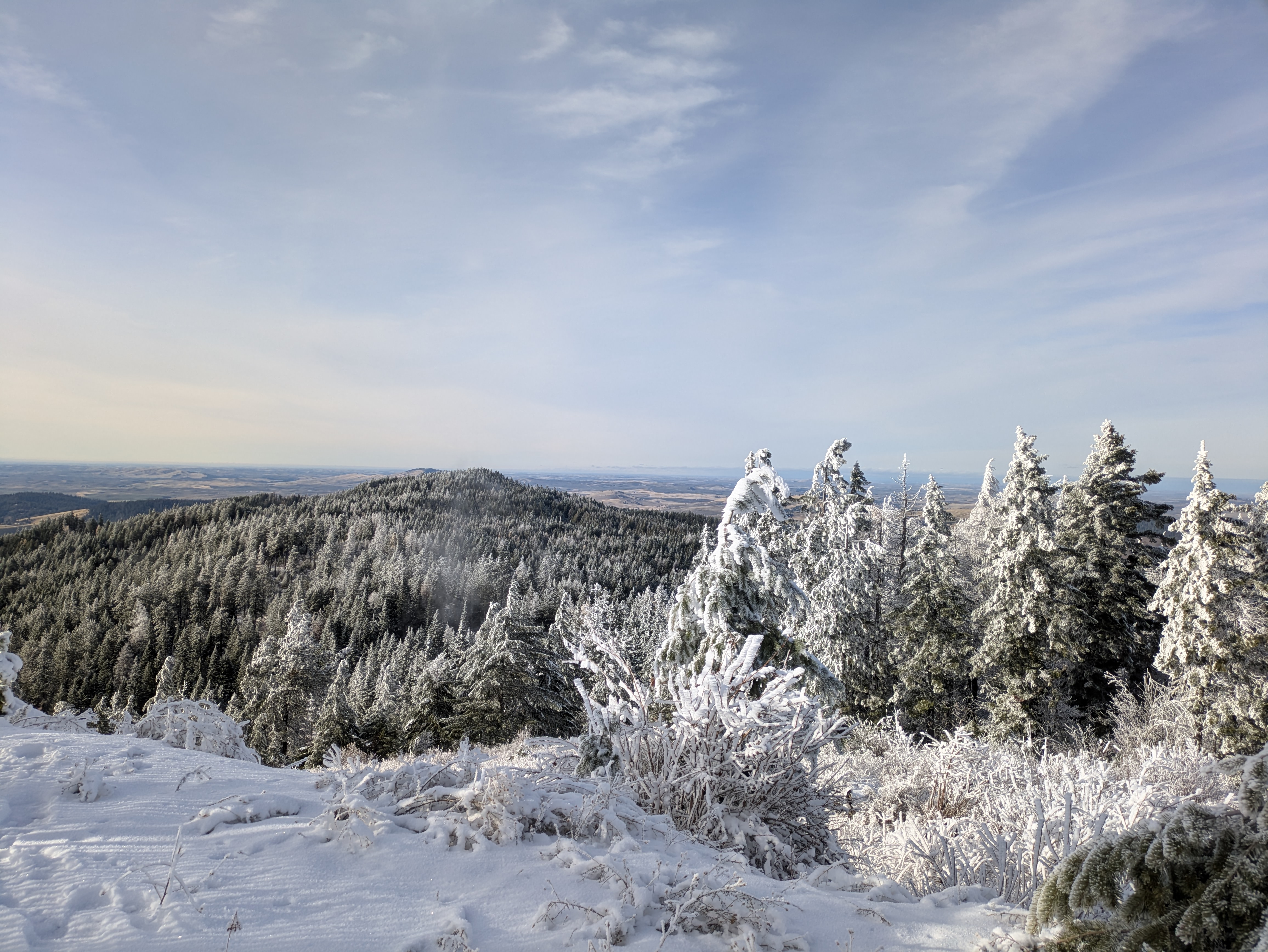 Chosen Family During the Holiday Season